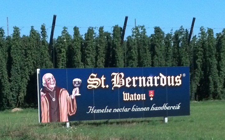 IMG_20130908_111617_925[1]