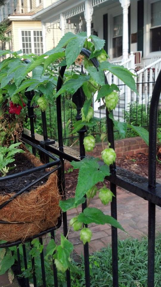 1175532_10100622894566344_1986945905_n[1]