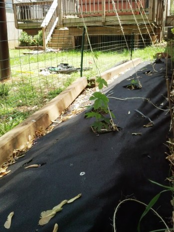 IMG_20130505_134100_570[1]