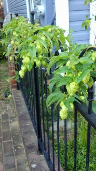 IMG_20130929_181332_639[1]