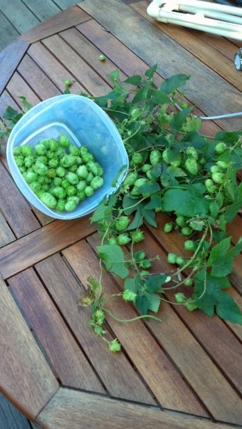 IMG_20131024_163101_558[1]