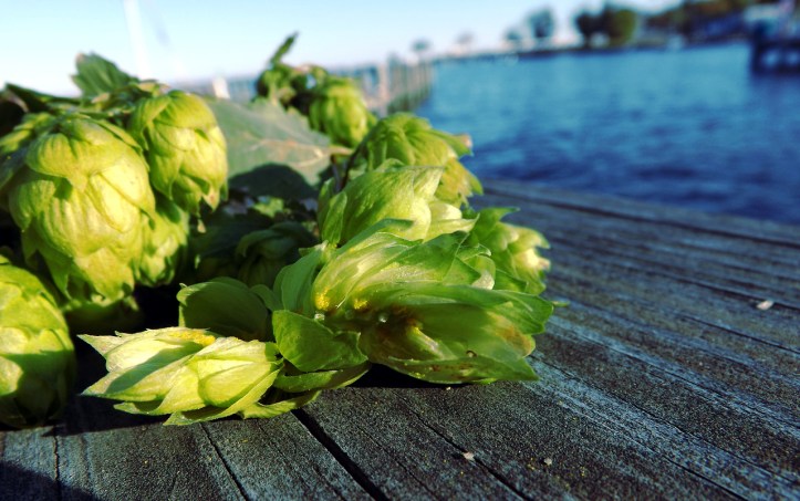 tumblr_mvajngKcHx1srwmxbo3_1280[1]