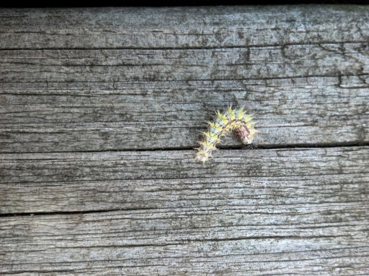 IMG_20140513_170412_685[1]