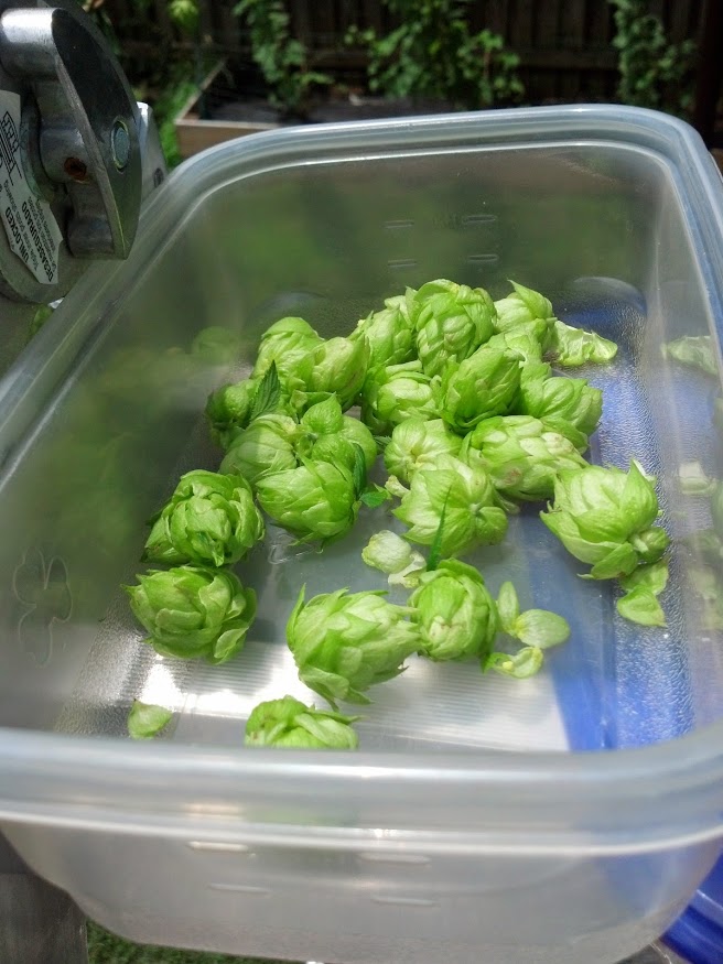 IMG_20140622_131039_255[1]