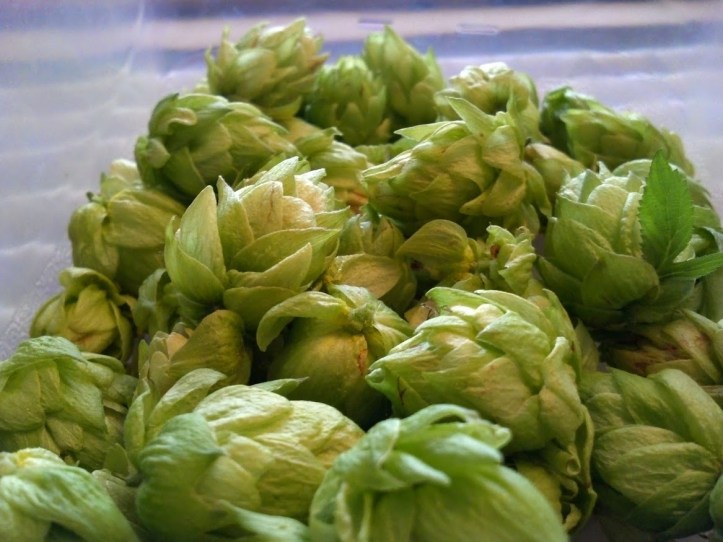 IMG_20140622_134742_434[1]