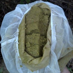 Nearly 1lb of "exerpienced" hops that won't be going into the fermentor.